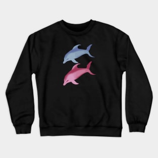 Blue and Pink Crewneck Sweatshirt